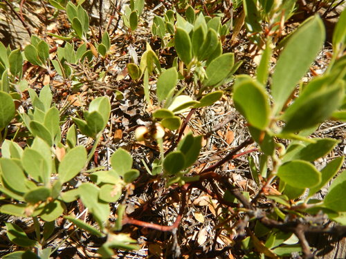Union Rock Lake Trail