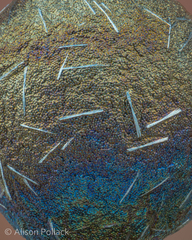 Lamproderma arcyrioides