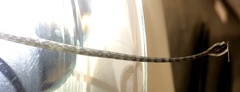Microphis