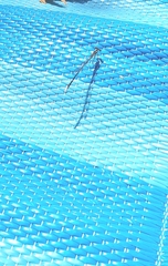 Platycnemis pennipes