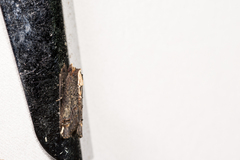 Lophoptera brunnama