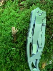 Clavulina castaneipes