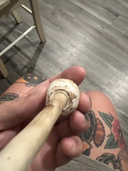 Chlorophyllum molybdites