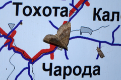 Scotopteryx chenopodiata