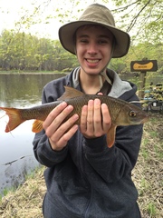 Moxostoma macrolepidotum