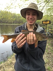 Moxostoma macrolepidotum