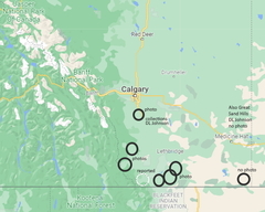 Steiroxys trilineata