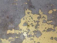 Thomisidae