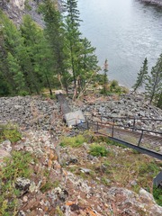 Sisymbrium heteromallum