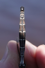 Somatochlora cingulata