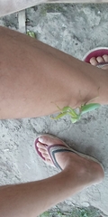 Hierodula transcaucasica