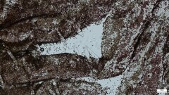 Coprinopsis strossmayeri