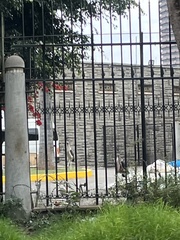 Leptoptilos crumenifer