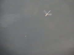 Aeshna mixta