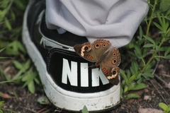 Junonia nigrosuffusa