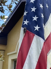 Megatibicen resonans