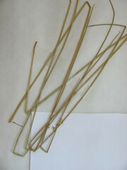 Juncus effusus solutus