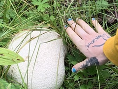 Calvatia booniana