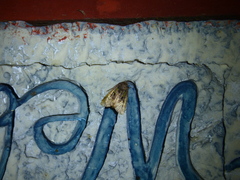 Choristoneura fumiferana