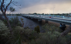 Hypocalymma angustifolium