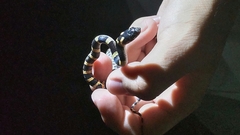 Lycodon semicarinatus