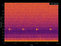 Pipistrellus nathusii