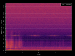 Pipistrellus nathusii