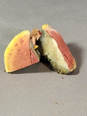 Hortiboletus