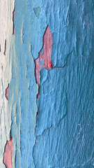 Trombidiformes
