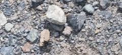 Zelotes