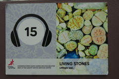 Lithops