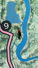 Phyllopalpus pulchellus
