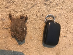 Rhinella