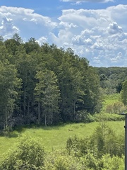 Odocoileus virginianus seminolus