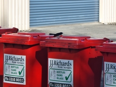 Rhipidura leucophrys