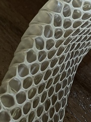 Thamnophis ordinoides