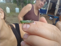 Pseudochorthippus parallelus