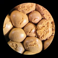 Oligonema persimile