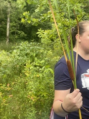 Typha angustifolia