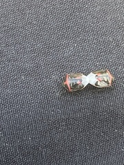 Cosmopepla lintneriana