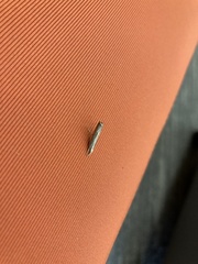 Parapediasia teterrellus