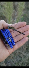 Aeshna mixta