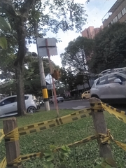 Gasteracantha cancriformis