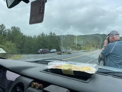 Ursus arctos middendorffi