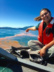 Noctiluca scintillans