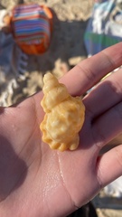 Talisman scrobilator