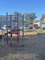 Corvus brachyrhynchos