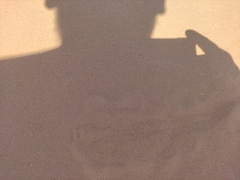 Phrynocephalus guttatus