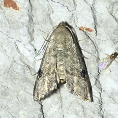 Abablemma brimleyana