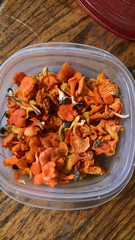 Cantharellus cinnabarinus